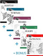 Design Books 1+2+3+4 bundle + Bonus - Front covers