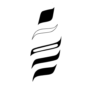 Haida art S-form dynamic connecting line diagram