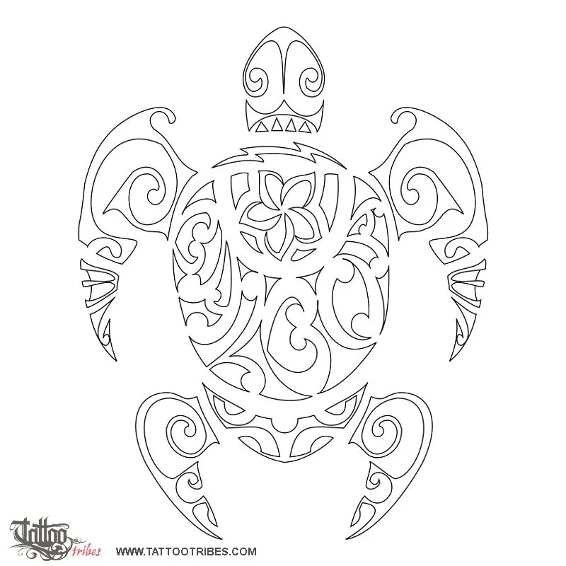 Stencil outline of Balboa turtle, Family, protection