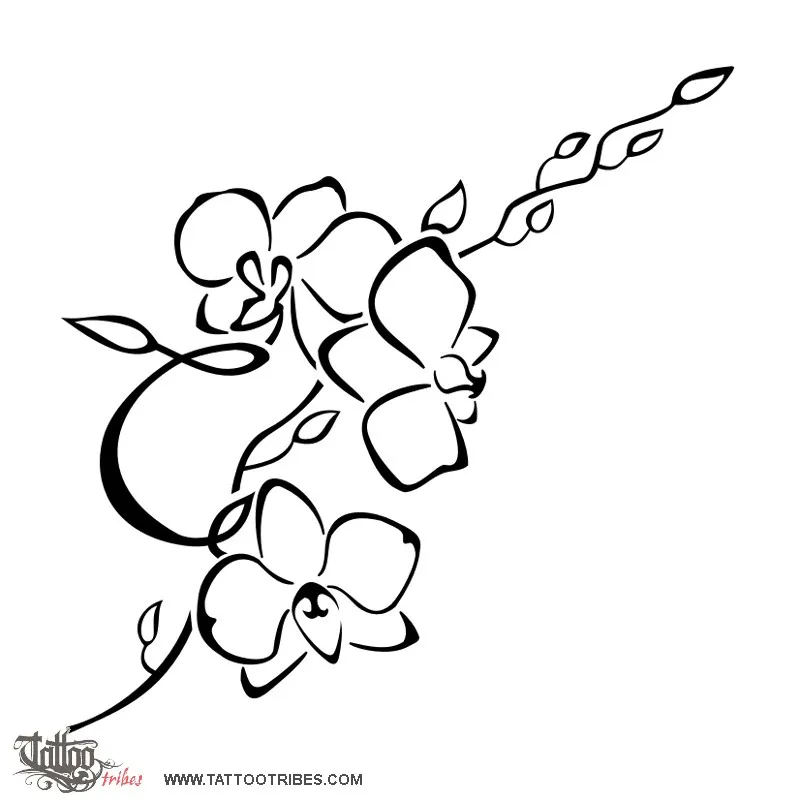 Tattoo image of Orchids, Charm, beauty