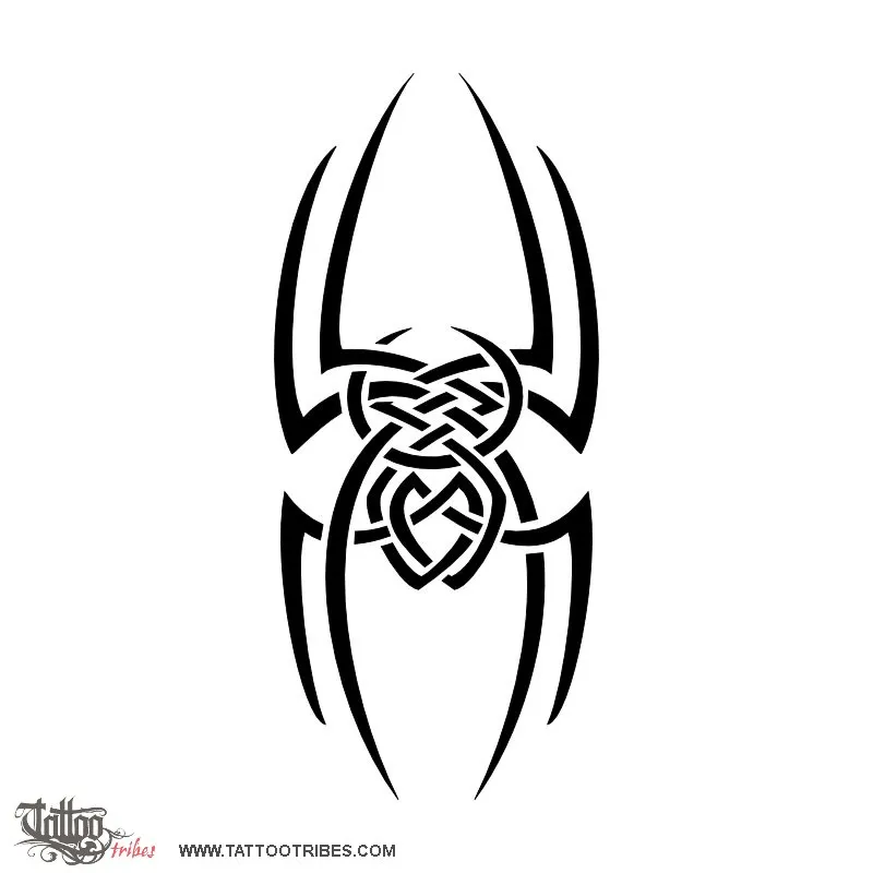 Tattoo image of Spider made of Celtic knots