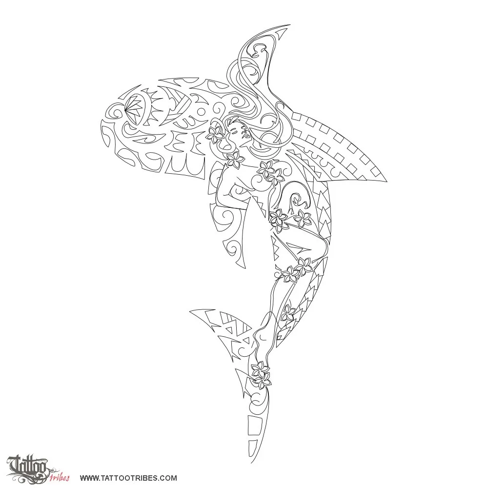 Stencil outline of Composite shark, Emanuele