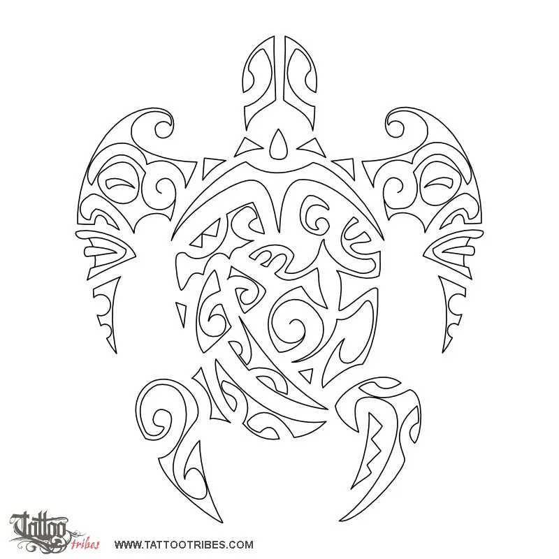 Stencil outline of Turtle, Voyage