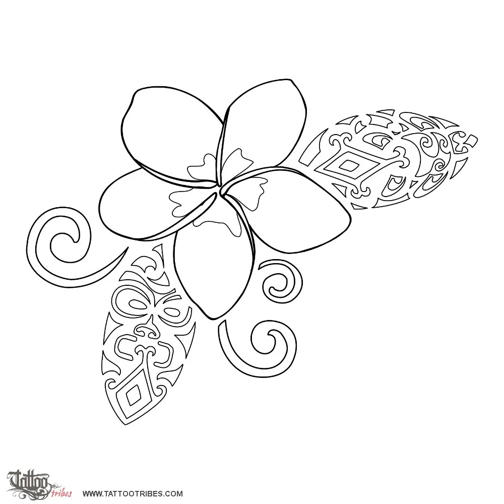 Stencil outline of Frangipani, Shelter, beauty