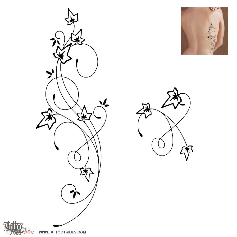 Tattoo image of Ivy branches, Faithful love
