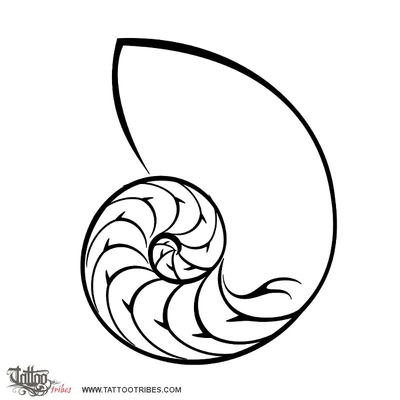 Tattoo image of Nautilus, Golden ratio
