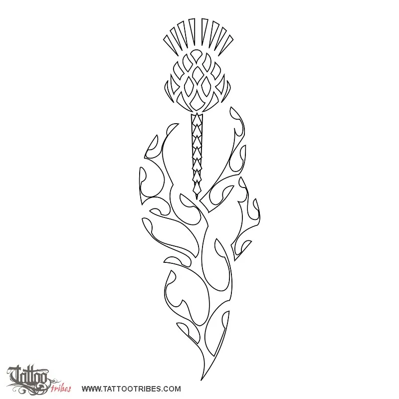 Stencil outline of Thistle, Scotland, protection