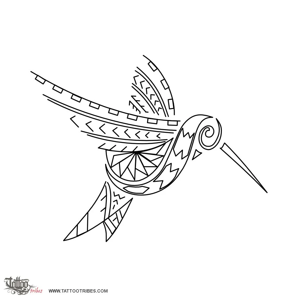 Stencil outline of Samoan hummingbird, Beauty, life