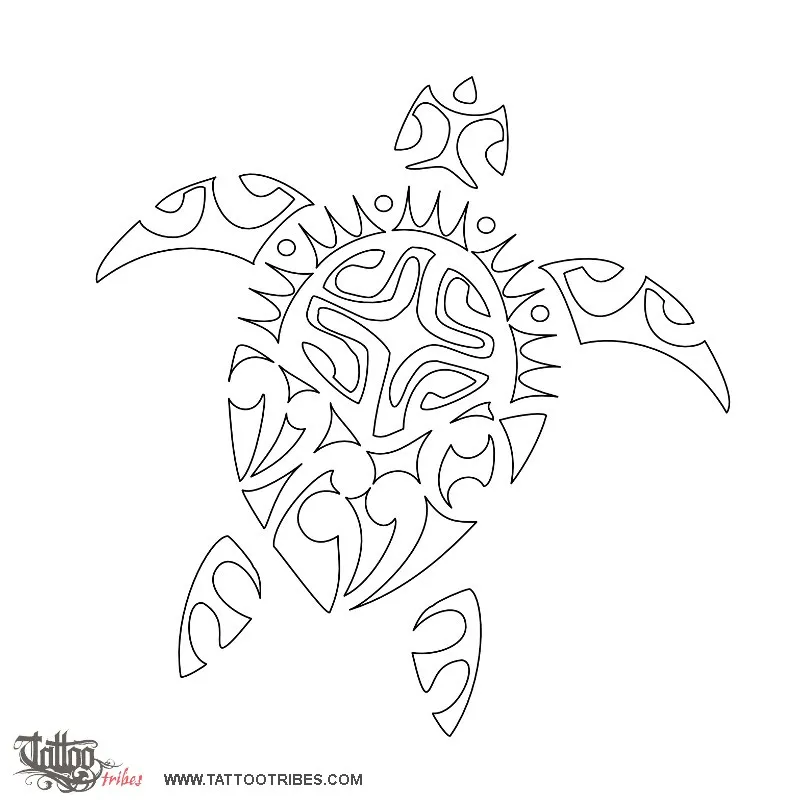 Stencil outline of VIVO, Turtle