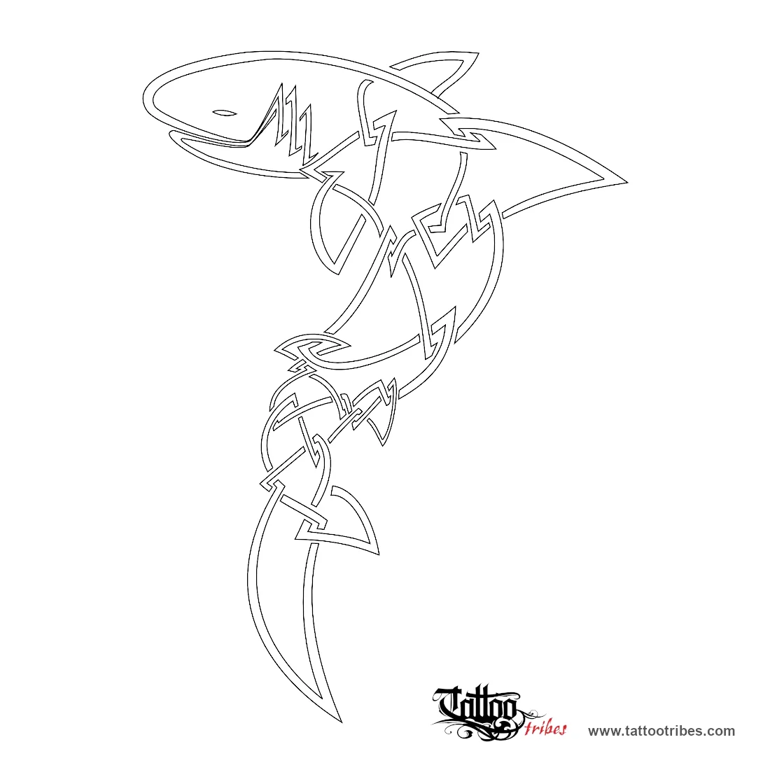 Stencil outline of Celtic shark, Roots