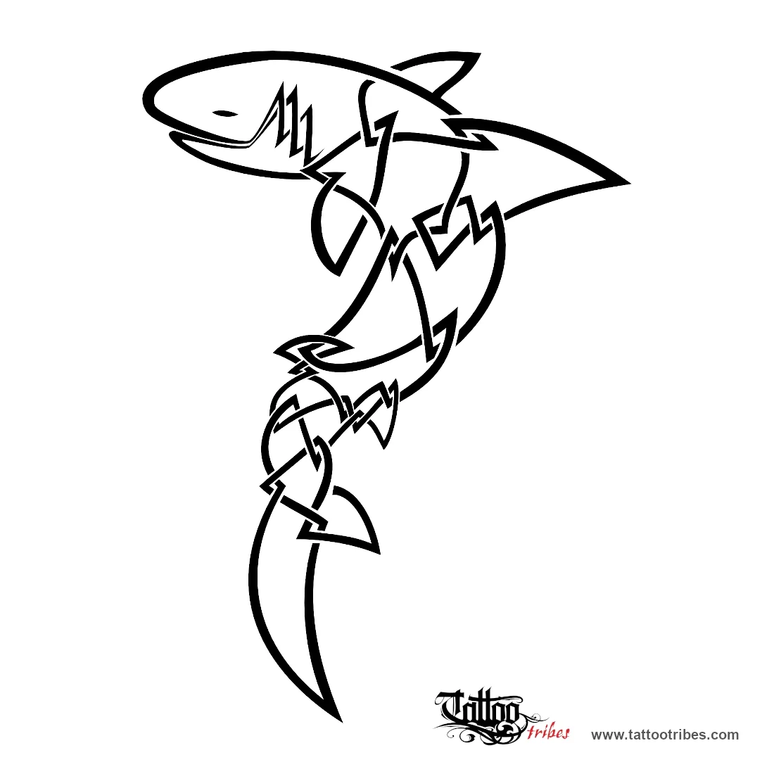 Tattoo image of Celtic shark, Roots