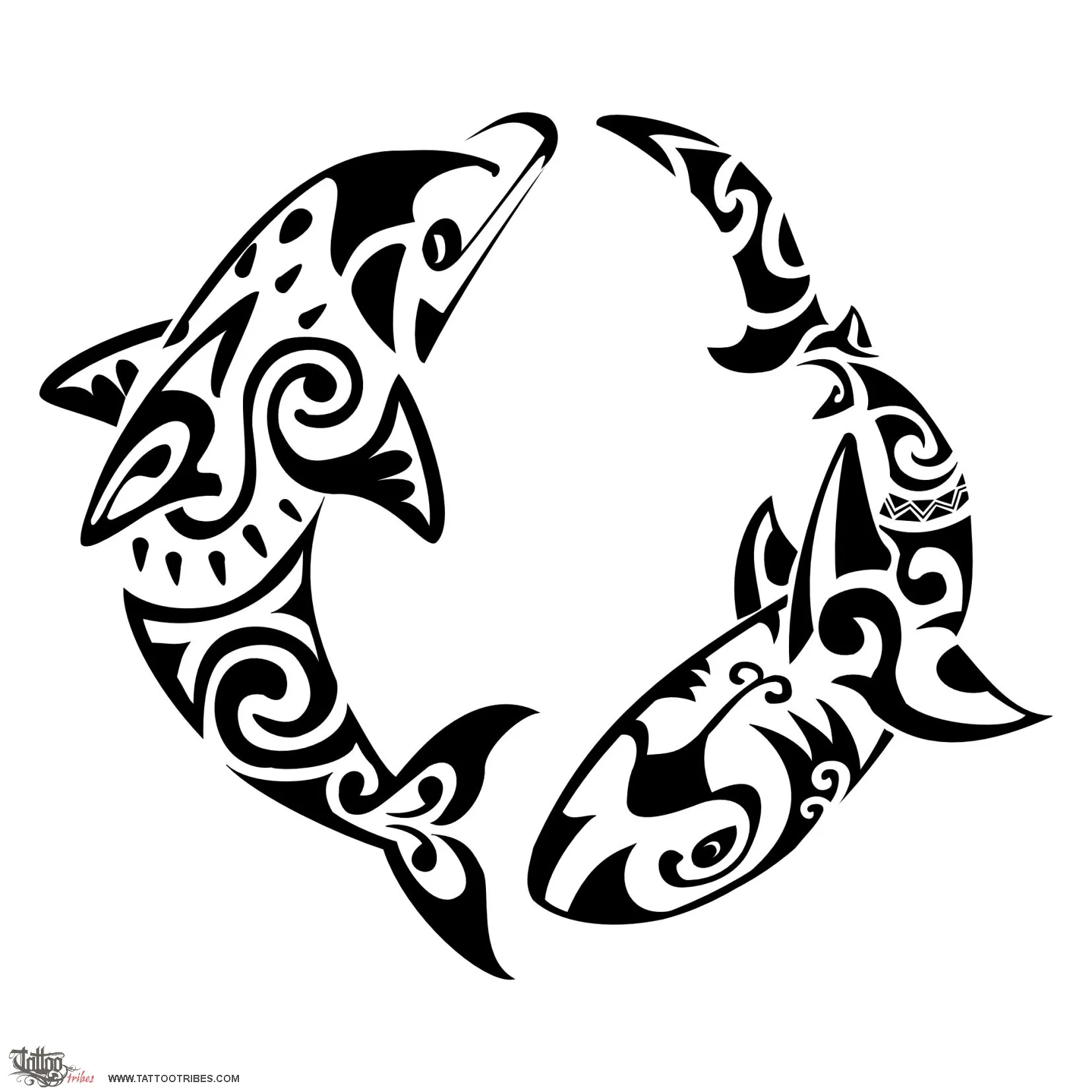 Dolphin and shark