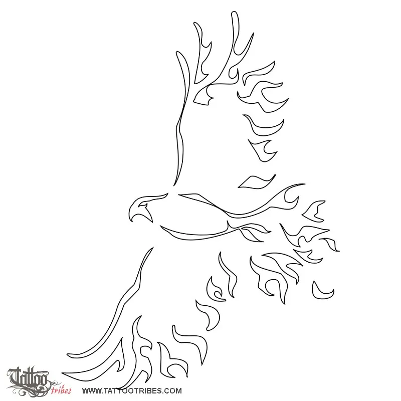 Stencil outline of Flaming hawk, New start