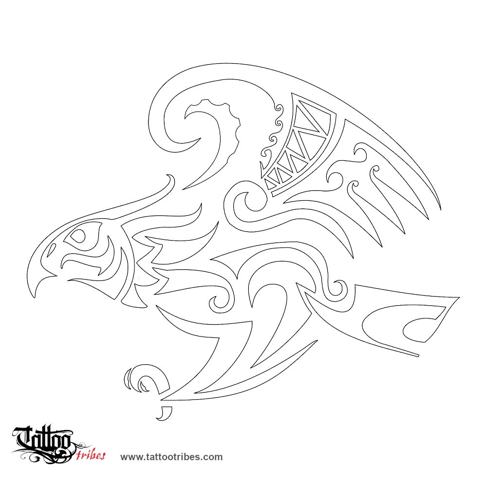 Stencil outline of Hawk, Messenger, observer downloadable hi-res tattoo stencil