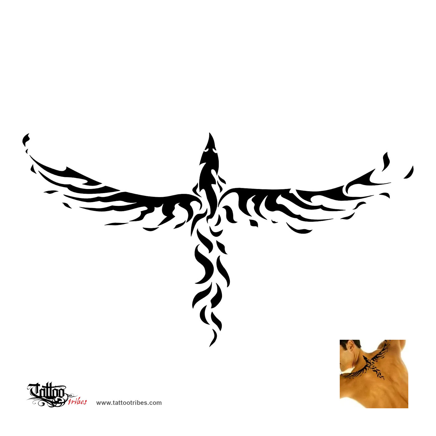 Tattoo image of Tribal phoenix, Eternity, rebirth downloadable hi-res tattoo flash design