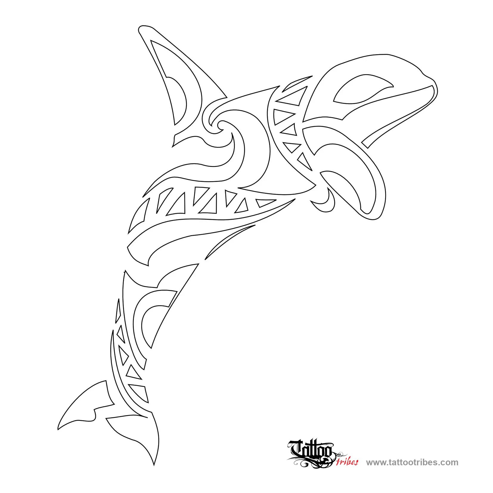 Stencil outline of Killer whale, Swift, lethal