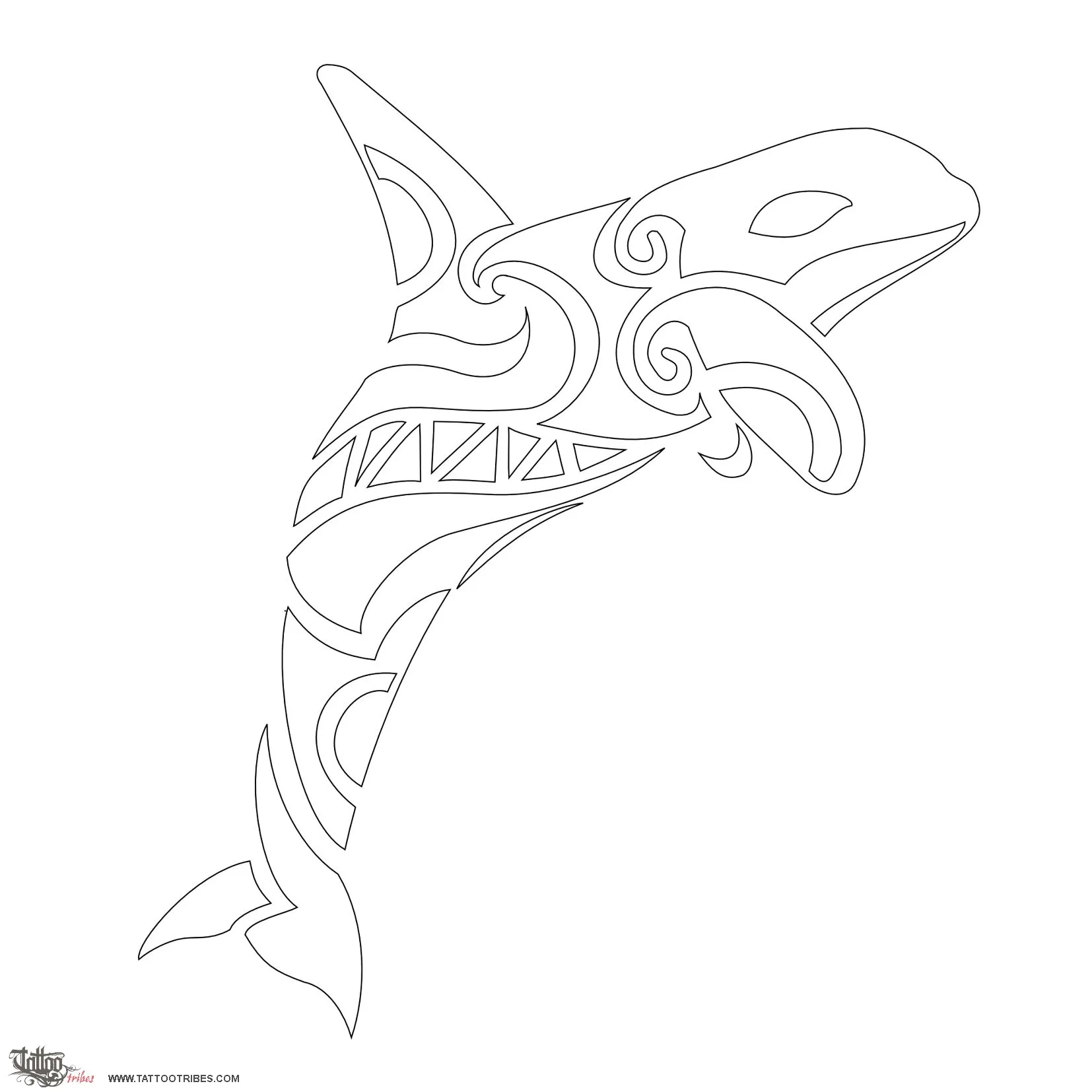 Stencil outline of Killer whale, Swift, lethal