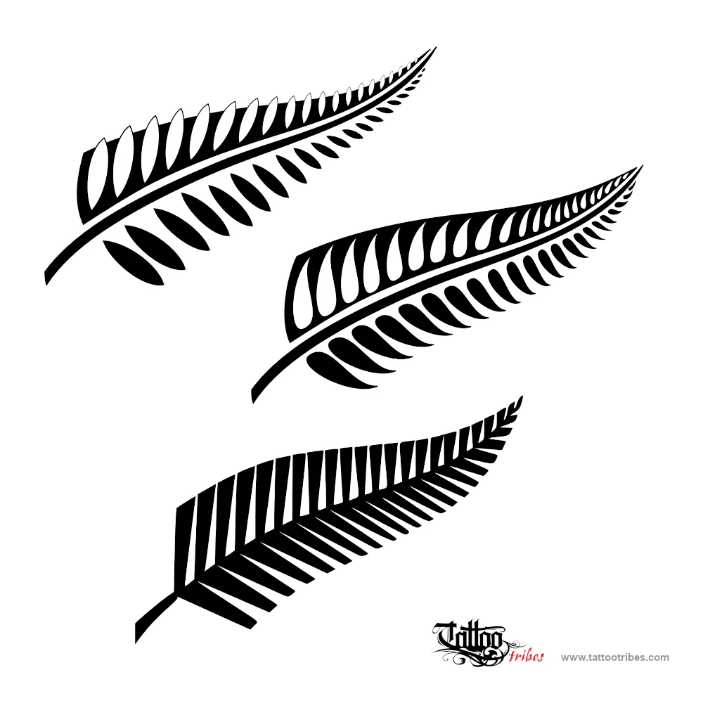 Maori fern