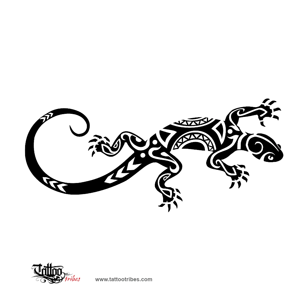 Lizard