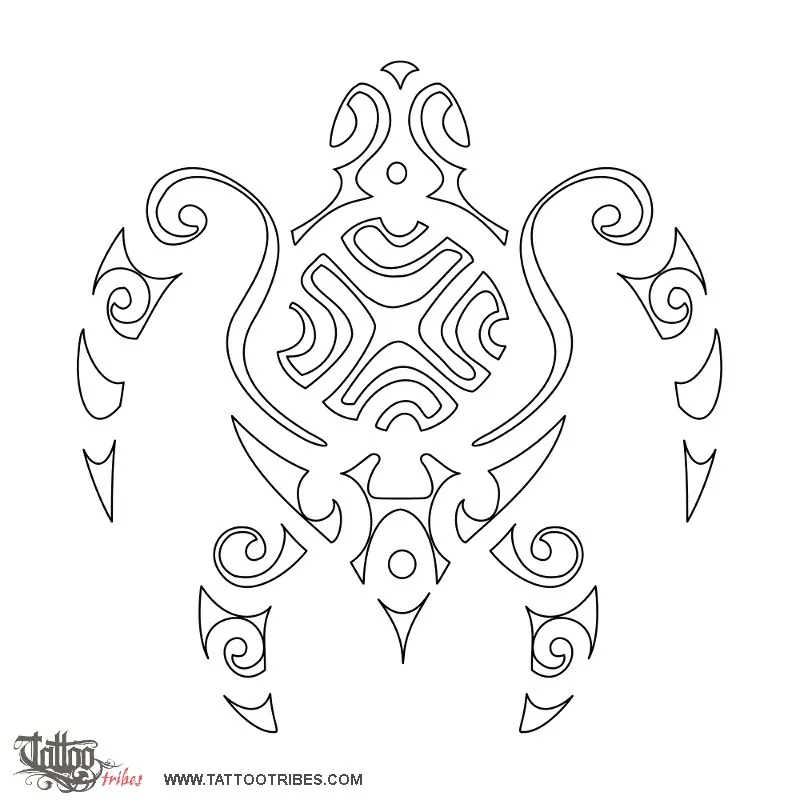 Stencil outline of Turtles, New beginning