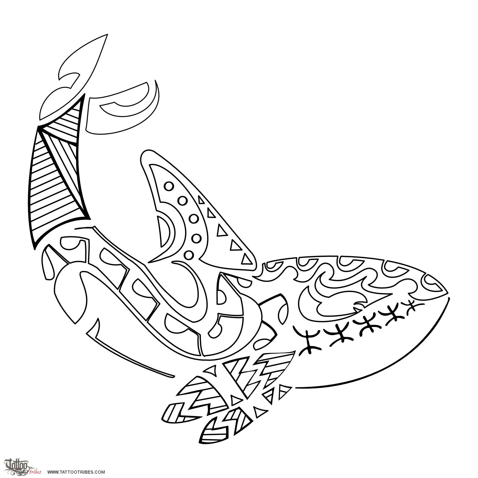 Stencil outline of Orca, Rapid, strong