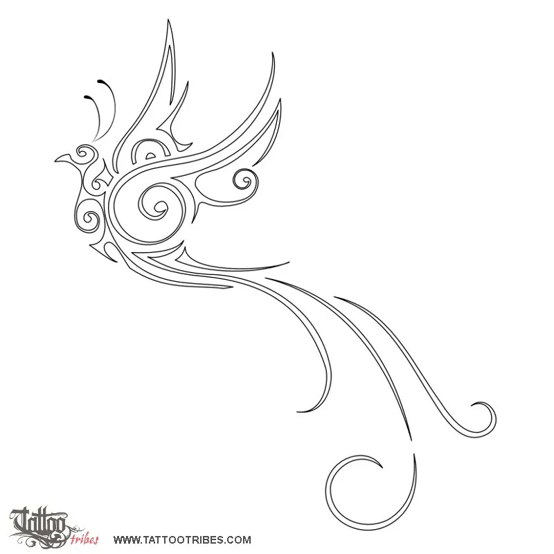Stencil outline of Bird of paradise, Beauty, freedom