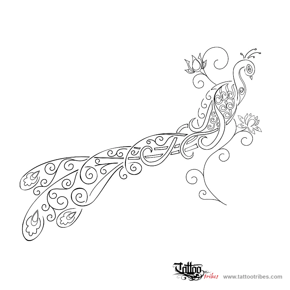 Stencil outline of Peacock and lotus flowers, Beauty, rebirth