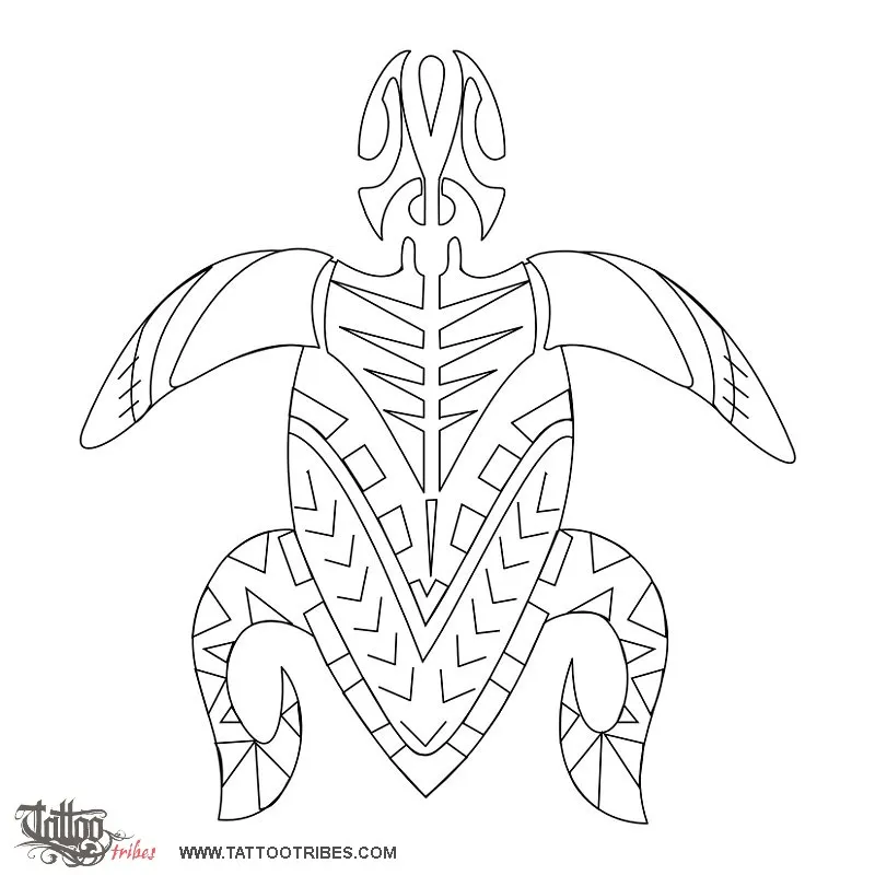 Stencil outline of Samoan turtle, Freedom, protection