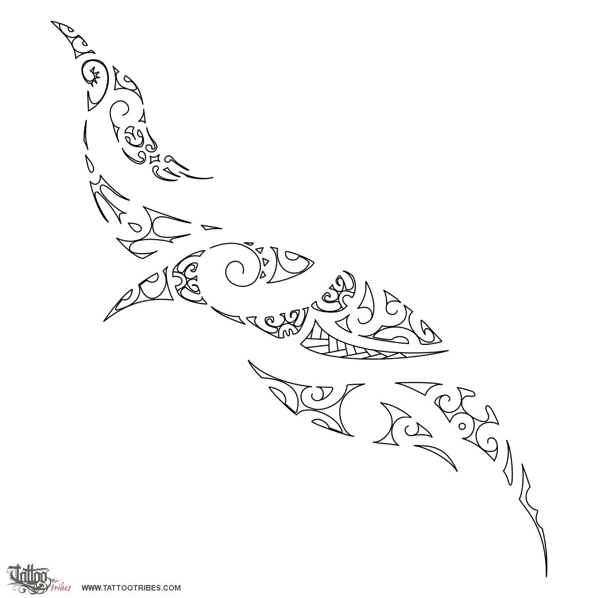 Stencil outline of Paikea, Humpback whale