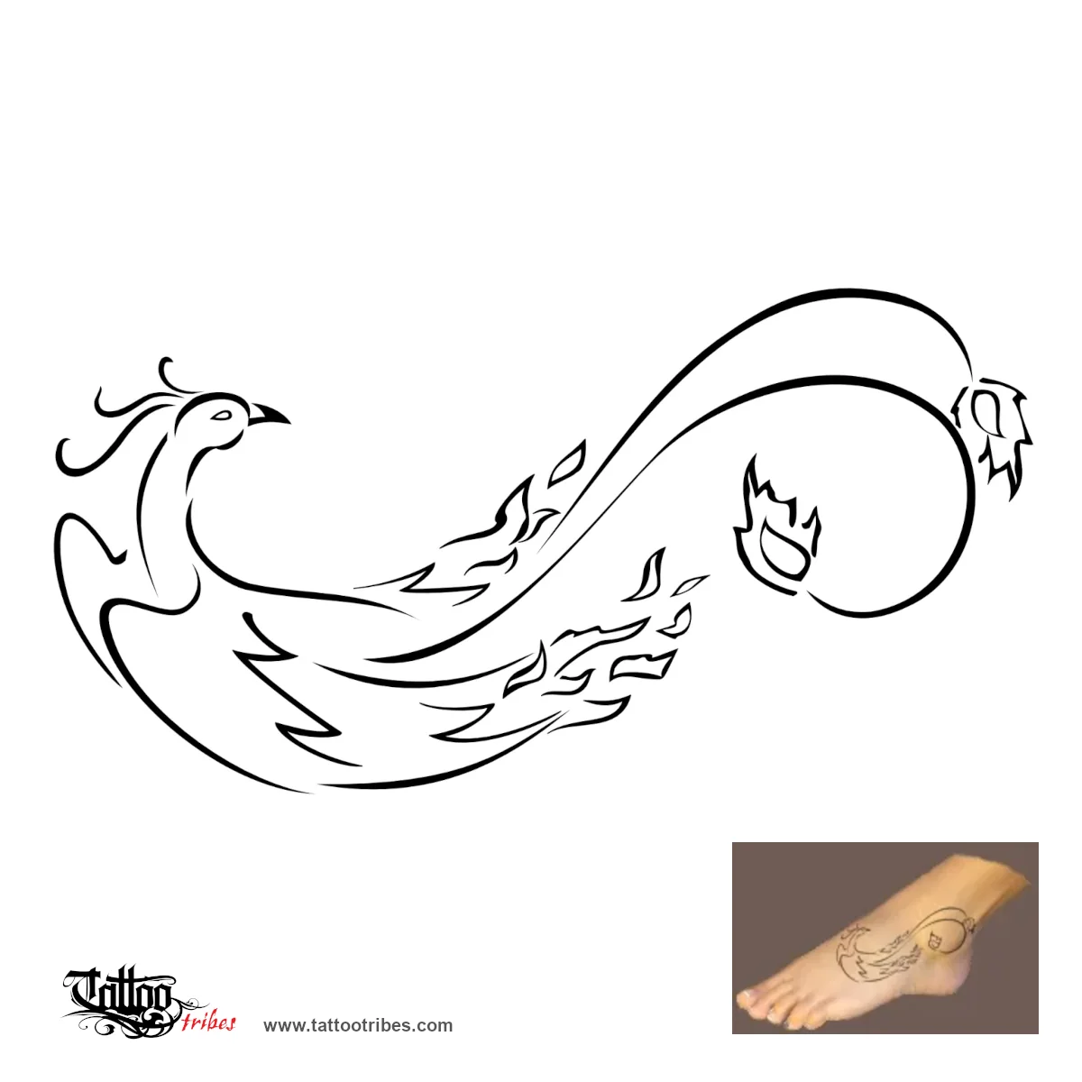 Suzaku bird
