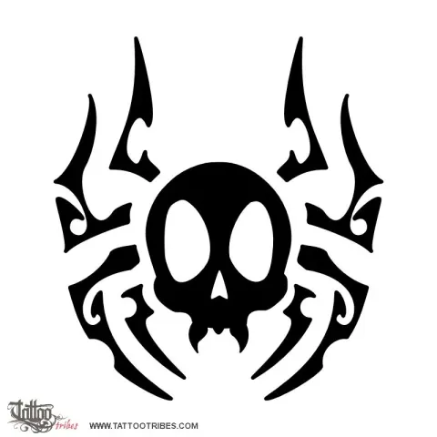 Spider