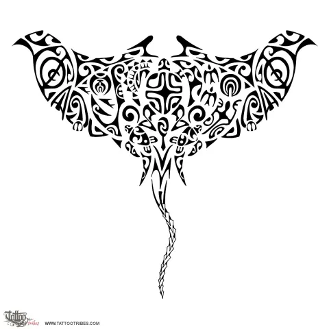 Stingray