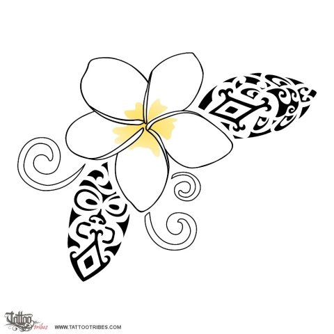 Frangipani (Shelter, beauty) tattoo design thumbnail