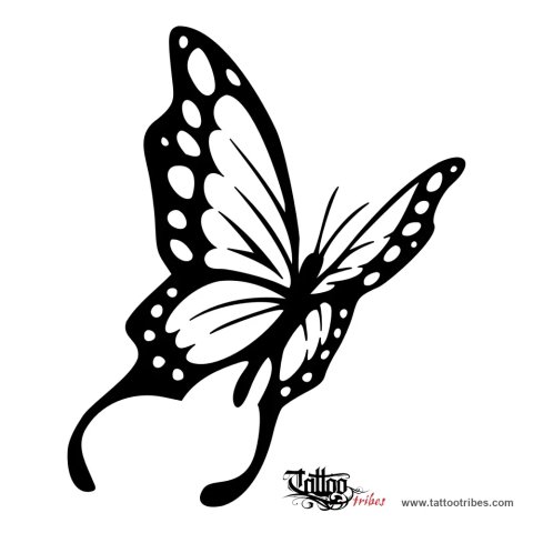 Butterfly (Transformation, soul) tattoo design thumbnail