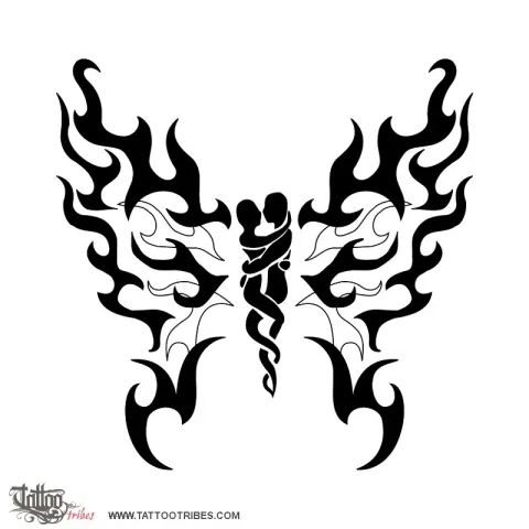 Lovers butterfly