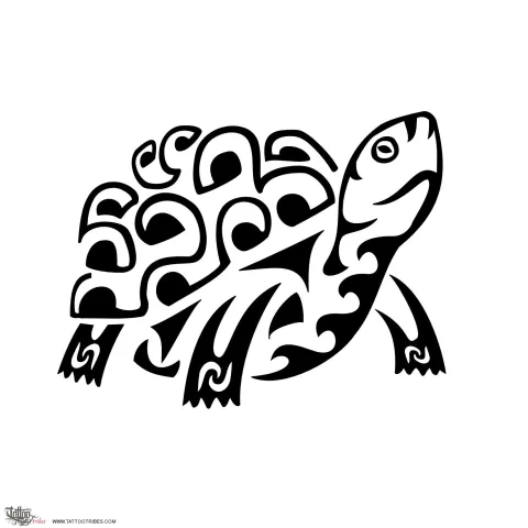 Land turtle