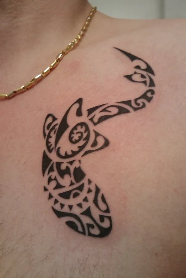Real community tattoo placement: Danko - Shark