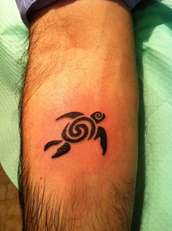 Real community tattoo placement: Donato - Flair turtle
