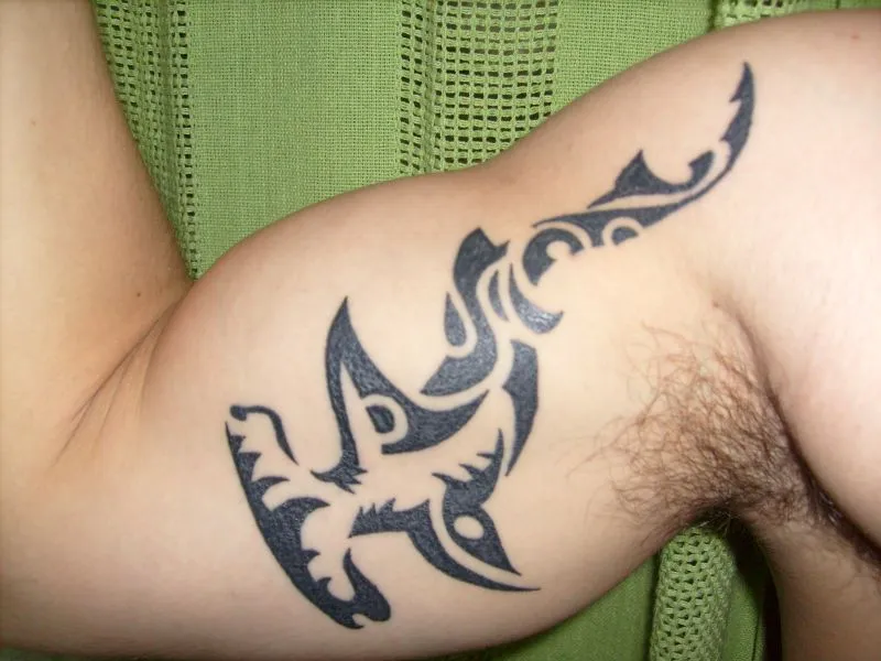 Real community tattoo placement: Edgard - Hammerhead shark