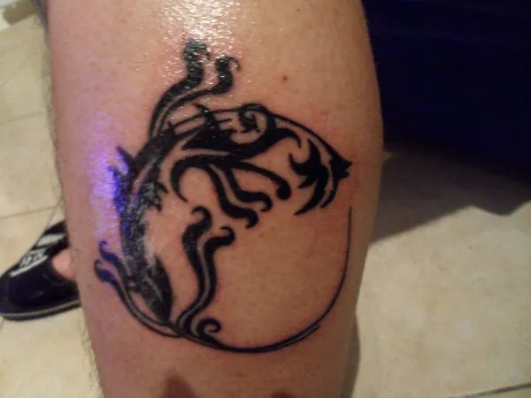 Real community tattoo placement: Ermelindo - Salamander