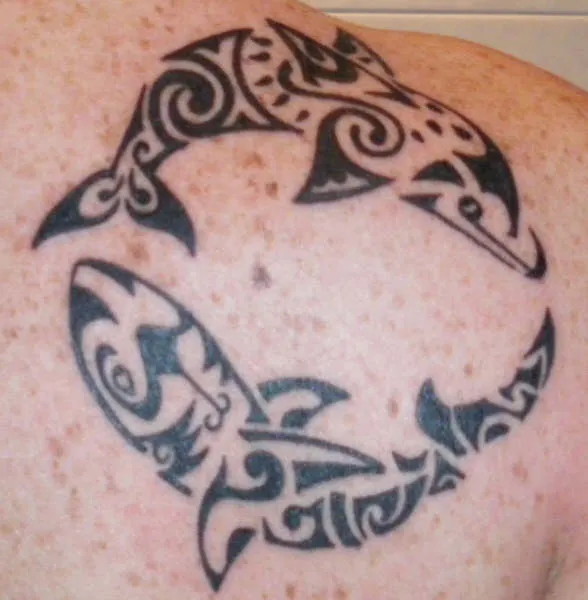 Real community tattoo placement: Jex - Dolphin & shark