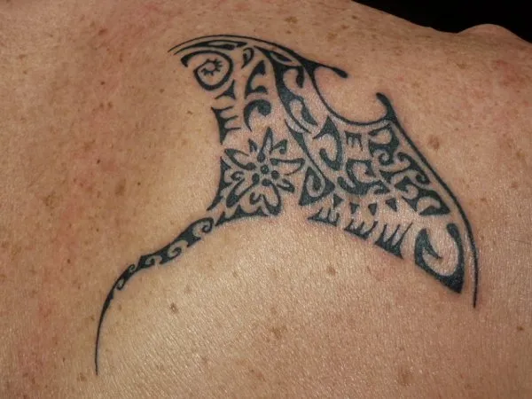 Real community tattoo placement: Mirko - Edelweiss manta