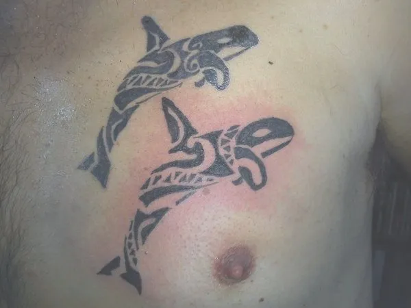 Real community tattoo placement: Paul - Killer whales