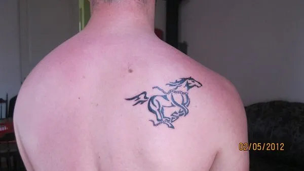 Real community tattoo placement: Salvo - Free horse