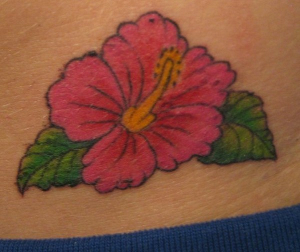 Andrea - Hibiscus