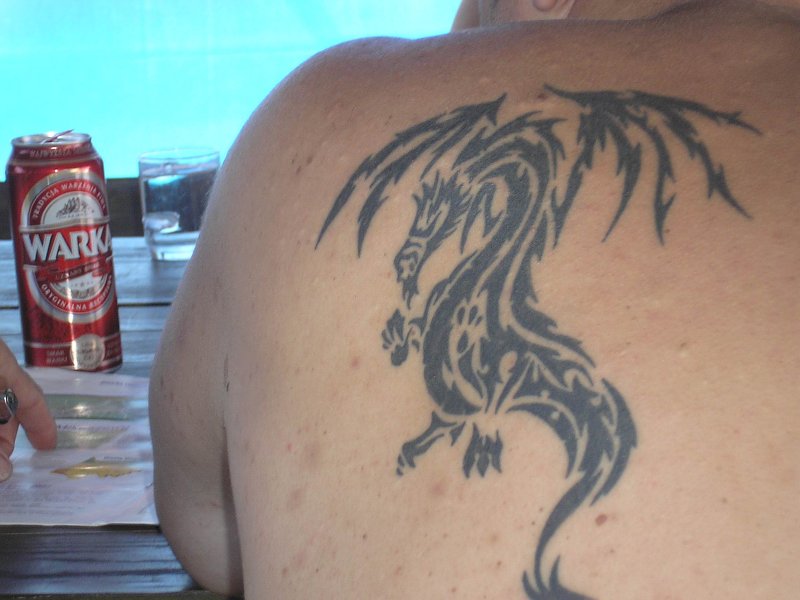 Bartek - tribal dragon