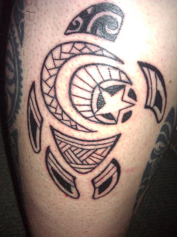 Chris - Turtle
