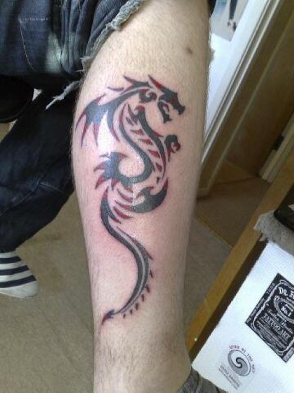Cory - Dragon