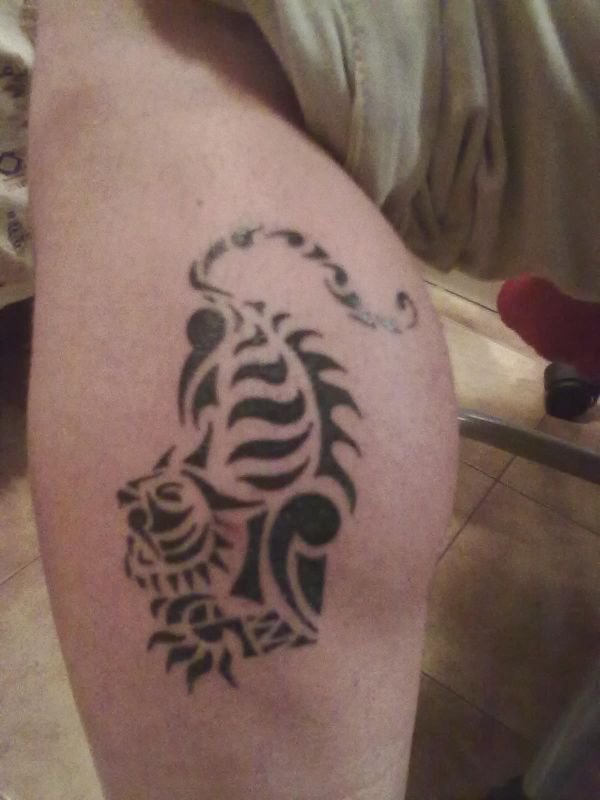 Davide - Tiger
