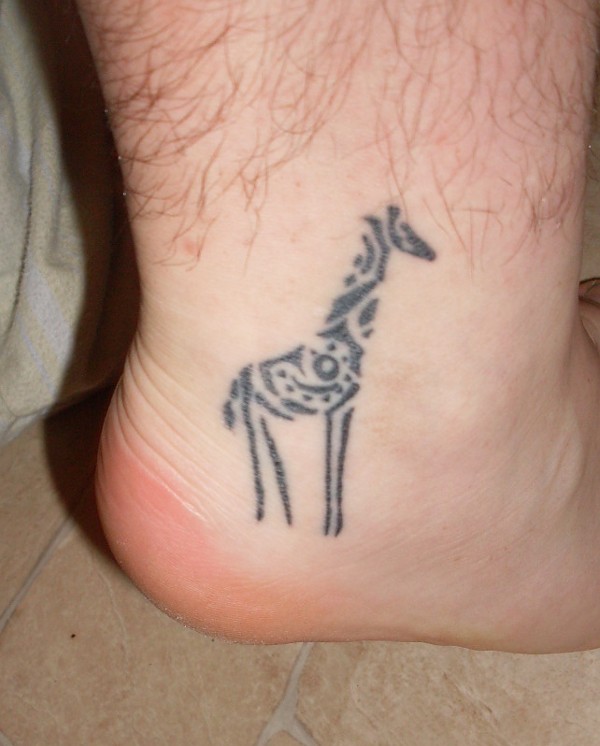 Derrick - Giraffe